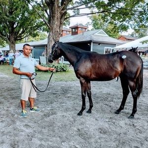 Meet your Posher, Juan